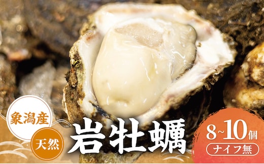 【先行予約 7月上旬～下旬発送予定】象潟産 天然岩牡蠣 8～10個 ナイフ無【牡蠣 夏牡蠣 かき 象潟 生食可 魚介類 海鮮 海産物 海の幸】 