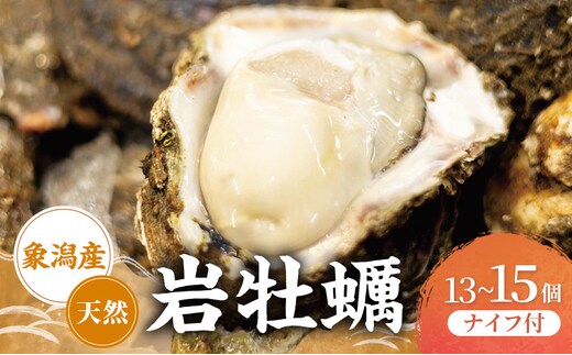 【先行予約 7月上旬～下旬発送予定】象潟産 天然岩牡蠣 13～15個 ナイフ付【牡蠣 夏牡蠣 かき 象潟 生食可 魚介類 海鮮 海産物 海の幸】 