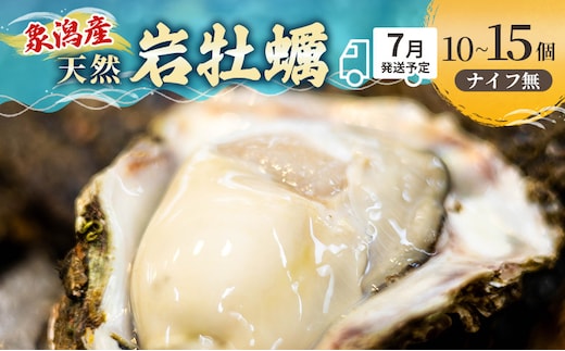 象潟産 天然岩牡蠣 10～12個 ナイフ無【 牡蠣 夏牡蠣 かき 象潟 生食可 魚介類 海鮮 海産物 海の幸 】 佐藤鮮魚店