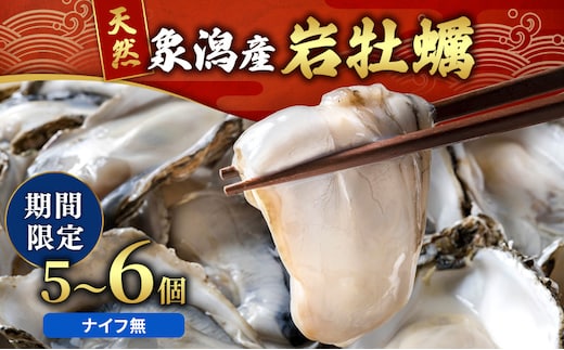 象潟産 天然岩牡蠣 5～6個 ナイフ無【牡蠣 夏牡蠣 かき 象潟 生食可 魚介類 海鮮 海産物 海の幸】 みずしまや