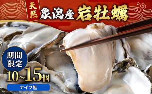 象潟産 天然岩牡蠣 10～15個 ナイフ無【牡蠣 夏牡蠣 かき 象潟 生食可 魚介類 海鮮 海産物 海の幸】 みずしまや