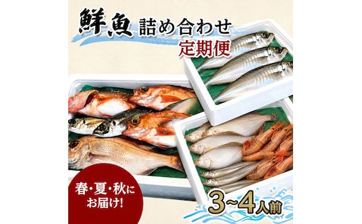 【 年3回 定期便 冷蔵 クール便 】にかほ市の海を自宅で堪能！ 鮮魚詰め合わせセット 3～4人前 「12月～3月配送対象外」【 下処理済み 鮮魚セット 象潟 海産物 海鮮 海の幸 秋田 にかほ 】