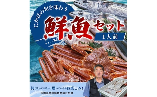 鮮魚 冷蔵 クール便「開けたらすぐ食べられる」下処理済み 海産物 1人前 さとう鮮魚店【一人暮らし 女性 男性 パック 詰め合わせ 海鮮セット 鮮魚ボックス 海鮮 海の幸 魚介 魚介類 切り身 秋田県 にかほ 】