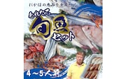 鮮魚 冷蔵 クール便「 開けたらすぐ食べられる下処理済み 海産物 4～5人前 セット 」みずしまや【 パック 詰め合わせ 海鮮セット 鮮魚ボックス 海鮮 海の幸 魚介 魚介類 刺身 切り身  秋田県 にかほ 】 
