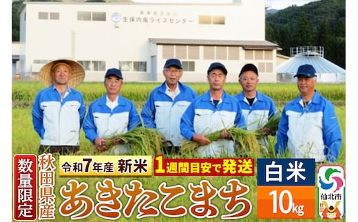＜令和7年産 新米＞【白米】あきたこまち 10kg（10kg×1袋）精米 秋田県仙北市産 10キロ