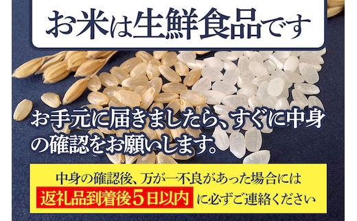 無洗米】<令和8年産 新米予約>《定期便6ヶ月》秋田県産 無洗米】<令和8年産 新米予約>《定期便6ヶ月》秋田県産