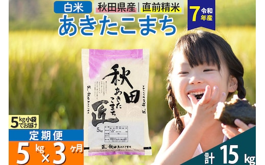 【白米】＜令和7年産＞ 《定期便3ヶ月》秋田県産 あきたこまち 5kg (5kg×1袋)×3回 5キロ お米 匠