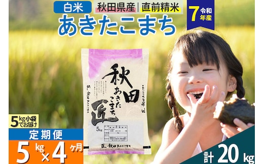 【白米】＜令和7年産＞ 《定期便4ヶ月》秋田県産 あきたこまち 5kg (5kg×1袋)×4回 5キロ お米 匠