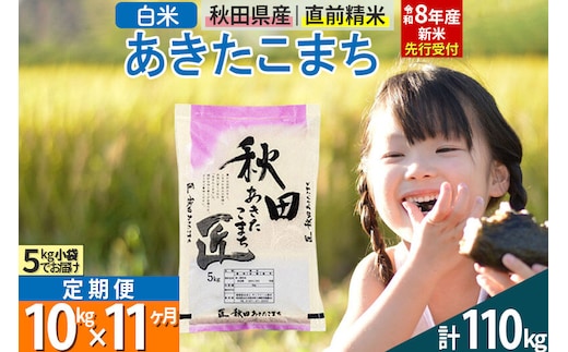 【白米】＜令和8年産 新米予約＞ 《定期便11ヶ月》秋田県産 あきたこまち 10kg (5kg×2袋)×11回 10キロ お米 匠