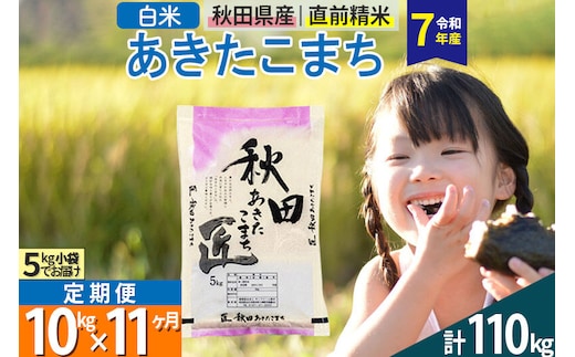 【白米】＜令和7年産＞ 《定期便11ヶ月》秋田県産 あきたこまち 10kg (5kg×2袋)×11回 10キロ お米 匠