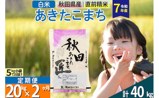 【白米】＜令和7年産＞ 《定期便2ヶ月》秋田県産 あきたこまち 20kg (5kg×4袋)×2回 20キロ お米 匠