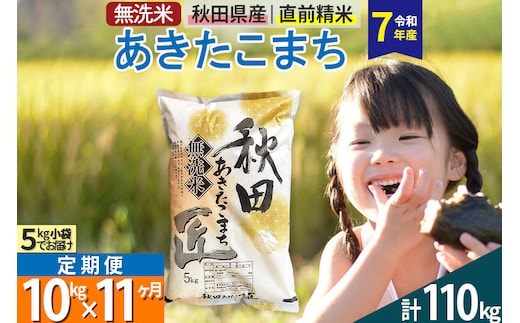 【無洗米】＜令和7年産＞《定期便11ヶ月》秋田県産 あきたこまち 10kg (5kg×2袋) ×11回 10キロ お米 匠