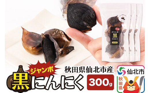 秋田県仙北市産 ジャンボ黒にんにく 300g（100g×3パック） [秋田県産 仙北市産 ニンニク 熟成 ジャンボ 大きい グミ食感]