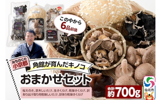 みちのくの小京都・角館が育んだ「おまかせセット」（桜えのき、原木しいたけ、生きくらげ、乾燥きくらげ、訳あり出汁取り用乾燥しいたけ、訳あり乾燥きくらげ）合計約700g(6品前後) [えのき エノキ しいたけ 椎茸 シイタケきくらげ 木耳 キクラゲ 園主おすすめ 生 乾燥 出汁 訳あり 秋田県 仙北市 角館]