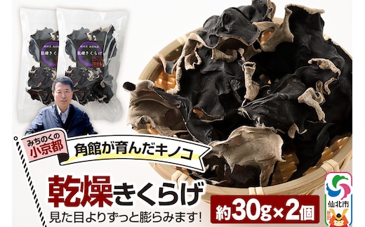 乾燥きくらげ 約30g×2袋 [きくらげ 木耳 キクラゲ 乾燥 手のひらサイズ 秋田県 仙北市 角館]