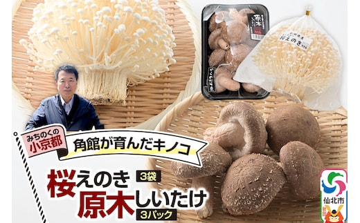 みちのくの小京都・角館が育んだ「2種セット」（桜えのき約300g×3袋、原木しいたけ×3パック） [えのき エノキ しいたけ 椎茸 シイタケ 秋田県 仙北市 角館]