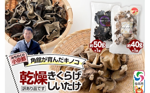 角館が育んだ きのこセット（訳あり出汁取り用乾燥しいたけ 約40g×1袋、訳あり乾燥きくらげ 約50g×1袋）計2袋 [しいたけ 椎茸 シイタケ エノキ きくらげ 木耳 キクラゲ 出汁取り 乾燥 乾物 訳あり 秋田県 仙北市 角館]