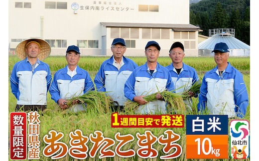 【白米】令和7年産 あきたこまち 10kg（10kg×1袋）精米 秋田県仙北市産 10キロ