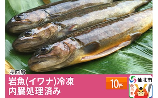 岩魚（イワナ）冷凍10匹 内臓処理済み 10匹