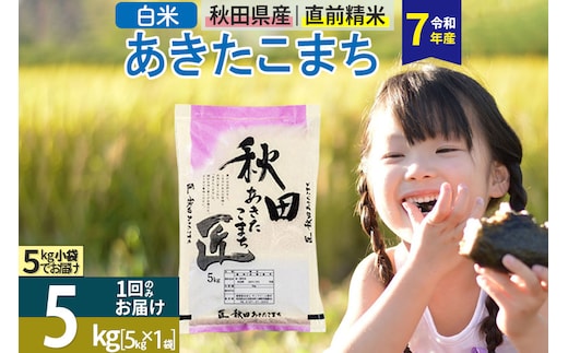 【白米】＜令和7年産＞ 秋田県産 あきたこまち 匠 5kg (5kg×1袋) 5キロ お米