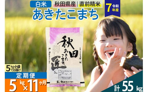 【白米】＜令和7年産＞ 《定期便11ヶ月》秋田県産 あきたこまち 匠 5kg (5kg×1袋)×11回 5キロ お米