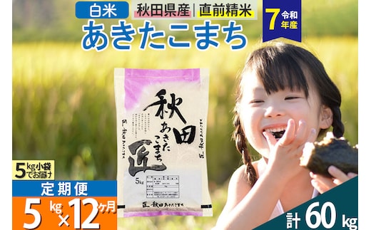 【白米】＜令和7年産＞ 《定期便12ヶ月》秋田県産 あきたこまち 匠 5kg (5kg×1袋)×12回 5キロ お米
