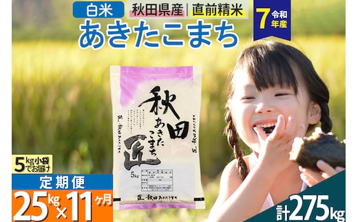 【白米】＜令和7年産＞ 《定期便11ヶ月》秋田県産 あきたこまち 匠 25kg (5kg×5袋)×11回 25キロ お米