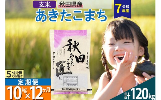 【玄米】＜令和7年産＞ 《定期便12ヶ月》秋田県産 あきたこまち 匠 10kg (5kg×2袋)×12回 10キロ お米