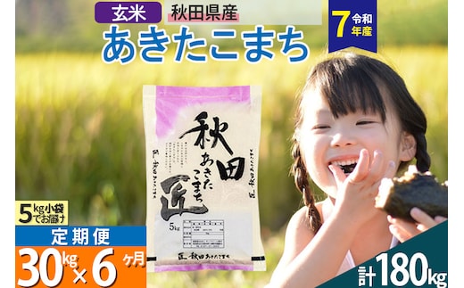 【玄米】＜令和7年産＞ 《定期便6ヶ月》秋田県産 あきたこまち 匠 30kg (5kg×6袋)×6回 30キロ お米