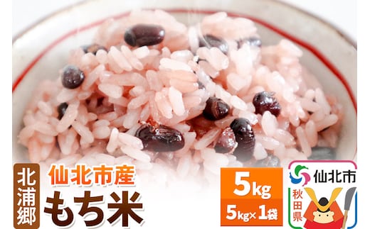 米 仙北市産 令和7年産 もち米 5kg1袋