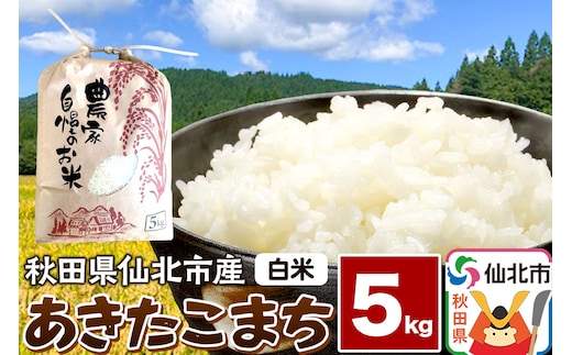【白米】令和7年産 あきたこまち 5kg 米 お米 こめ 精米 秋田県 仙北市産