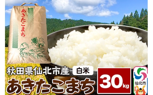 【白米】令和7年産 あきたこまち 30kg 米 お米 こめ 精米 秋田県 仙北市産