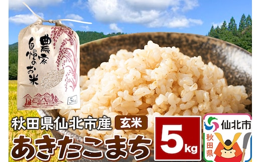 【玄米】令和7年産 あきたこまち 5kg 米 お米 こめ 秋田県 仙北市産