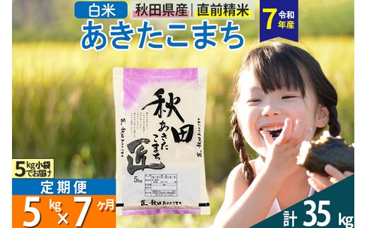 【白米】＜令和7年産＞ 《定期便7ヶ月》秋田県産 あきたこまち 5kg (5kg×1袋)×7回 5キロ お米 匠