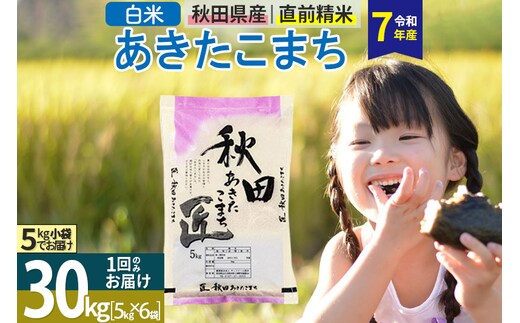【白米】＜令和7年産＞ 秋田県産 あきたこまち 30kg (5kg×6袋) 30キロ お米 匠