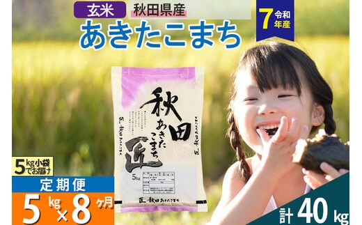 【玄米】＜令和7年産＞ 《定期便8ヶ月》秋田県産 あきたこまち 5kg (5kg×1袋)×8回 5キロ お米 匠