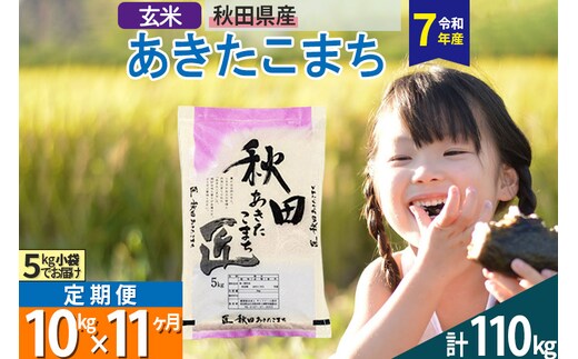 【玄米】＜令和7年産＞ 《定期便11ヶ月》秋田県産 あきたこまち 10kg (5kg×2袋)×11回 10キロ お米 匠