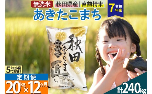 【無洗米】＜令和7年産＞《定期便12ヶ月》秋田県産 あきたこまち 20kg (5kg×4袋) ×12回 20キロ お米 匠