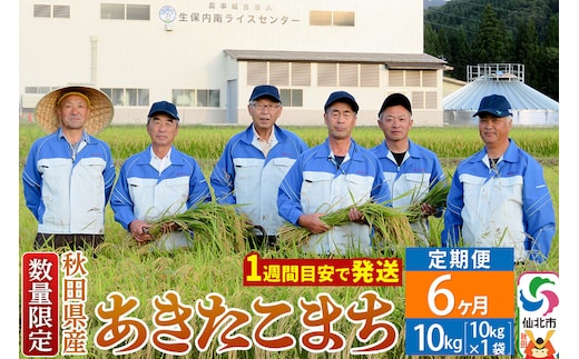 《定期便6ヶ月》【白米】令和8年産 あきたこまち 10kg（10kg×1袋）×6回 精米 秋田県仙北市産 10キロ [食味ランキング 特A 通算23回 産地 秋田県 仙北市 産米 お米]