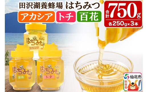 秋田県産はちみつ（アカシア・トチ・百花）250g×各1本 合計750g 化粧箱入り 詰め合わせセット 田沢湖養蜂場
