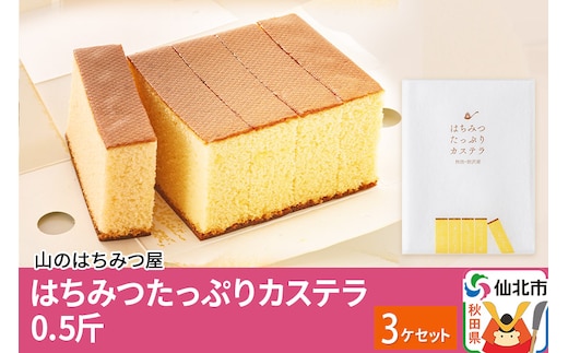 はちみつたっぷりカステラ 0.5斤 3個 セット 山のはちみつ屋