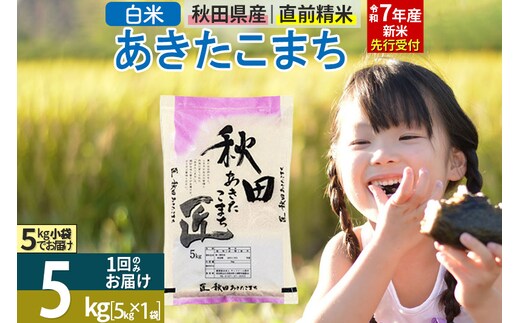 【白米】＜令和7年産 新米予約＞ 秋田県産 あきたこまち 5kg (5kg×1袋) 5キロ お米 新米