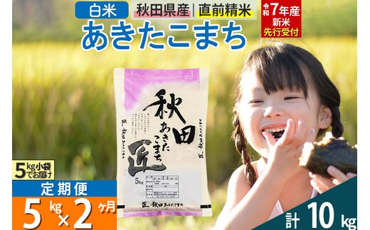 【白米】＜令和7年産 新米予約＞ 《定期便2ヶ月》秋田県産 あきたこまち 5kg (5kg×1袋)×2回 5キロ お米 新米