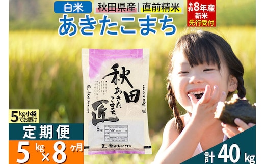 【白米】＜令和8年産 新米予約＞ 《定期便8ヶ月》秋田県産 あきたこまち 5kg (5kg×1袋)×8回 5キロ お米 匠 [サンファーム西木 米5kg 米 5kg 米 5kg定期便 お米定期便 白米 あきたこまち ごはん 米 お米 精米5kg]