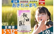 【白米】＜令和8年産 新米予約＞ 《定期便12ヶ月》秋田県産 あきたこまち 5kg (5kg×1袋)×12回 5キロ お米 匠  [サンファーム西木 米5kg 米 5kg 米　5kg定期便 お米定期便 白米 あきたこまち ごはん 米 お米 精米5kg]