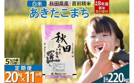 【白米】＜令和8年産 新米予約＞ 《定期便11ヶ月》秋田県産 あきたこまち 20kg (5kg×4袋)×11回 20キロ お米 匠