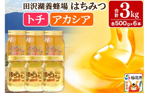秋田県産はちみつ（アカシア・トチ）500g×各3本 合計3kg 化粧箱入り 詰め合わせセット 田沢湖養蜂場