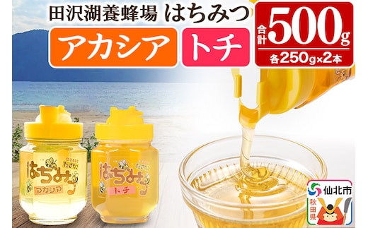 秋田県産はちみつ（アカシア・トチ）250g×各1本 合計500g 化粧箱入り 詰め合わせセット 田沢湖養蜂場