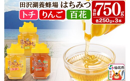 秋田県産はちみつ（トチ・リンゴ・百花）250g×各1本 合計750g 化粧箱入り 詰め合わせセット 田沢湖養蜂場