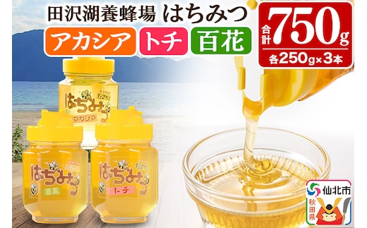 秋田県産はちみつ（アカシア・トチ・百花）250g×各1本 合計750g 化粧箱入り 詰め合わせセット 田沢湖養蜂場